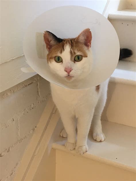 Health Update | Hope Whispers