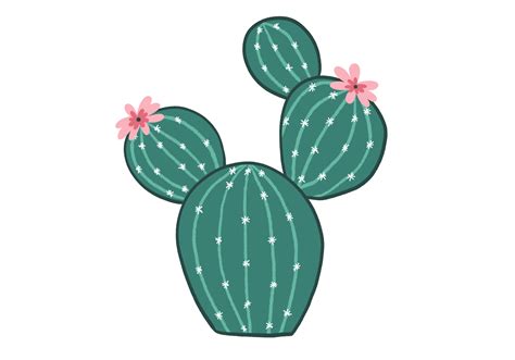 How to Draw a Cactus | Design School