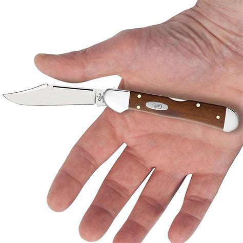 Case Mini CopperLock 2.72 inch Folding Knife | Sportsman's Warehouse