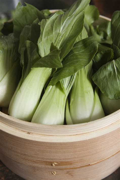 Companion Planting for Bok Choy