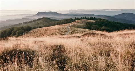 Super Safe MP5 - leesporting