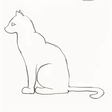 Sitting Cat Drawing at PaintingValley.com | Explore collection of ...