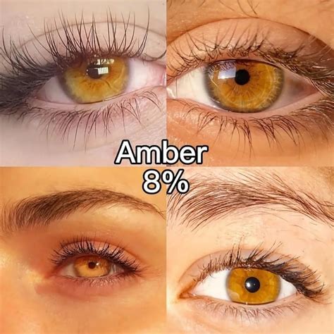 Pin by Milla Gomes on Olhos - espelhos da alma | Beautiful eyes color ...