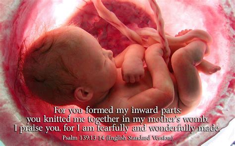 Psalm 139:13-14 - The Fellowship Site