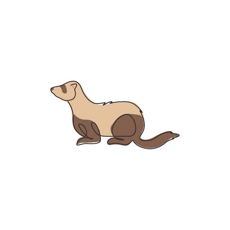 One continuous line drawing of adorable ferret for company logo identity. Sexually dimorphic ...