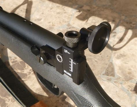 Peep-Sighted .22 Rifles