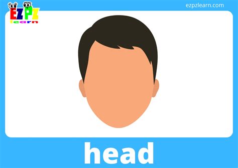 Body Parts Flashcards With Words View Online or PDF Download - Ezpzlearn.com