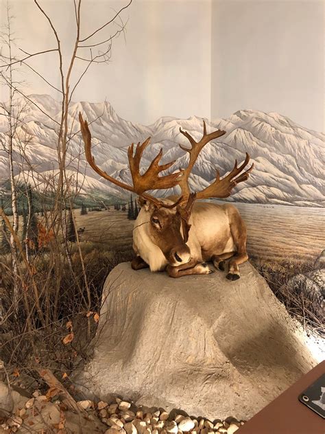 Nixon Park Nature Center (2026) - All You MUST Know Before You Go (with ...