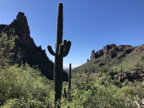 Ventana Canyon Trail. Tucson, AZ. Good day to be out in the Sonoran ...