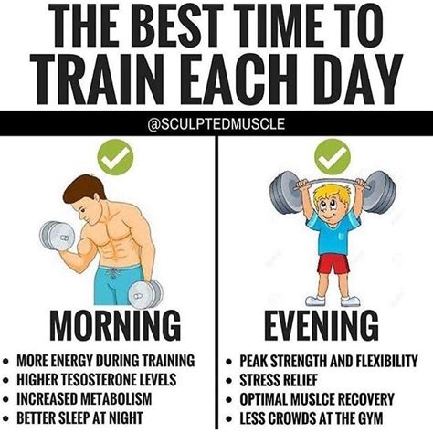 When Is Best Time To Workout