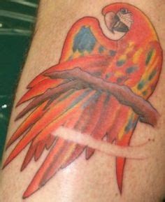 16 Parrothead ideas | parrot head, jimmy buffett, margaritaville