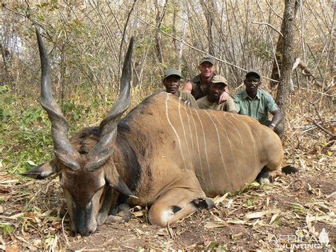 Lord Derby Eland | AfricaHunting.com