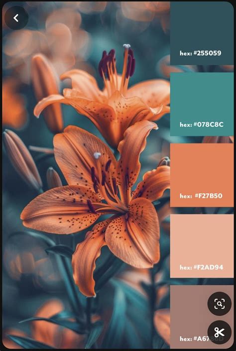 Pin by Pitcheur on salon indigo in 2025 | Teal color palette, Orange ...