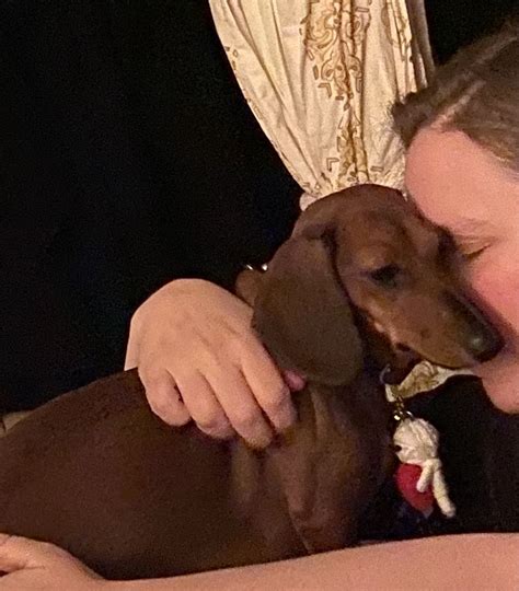 Valerie von Sobel | a portrait of true love my daughter Simone and Siena von Sobel the great 🐾 ...