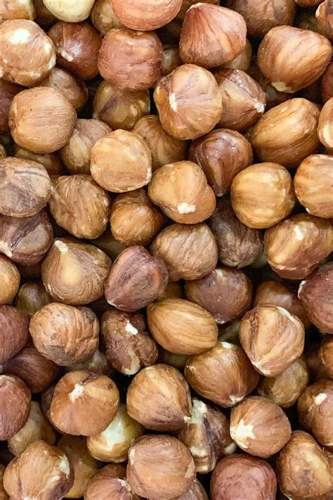 Are Salted Nuts Bad For Dogs at Kimberly Knox blog