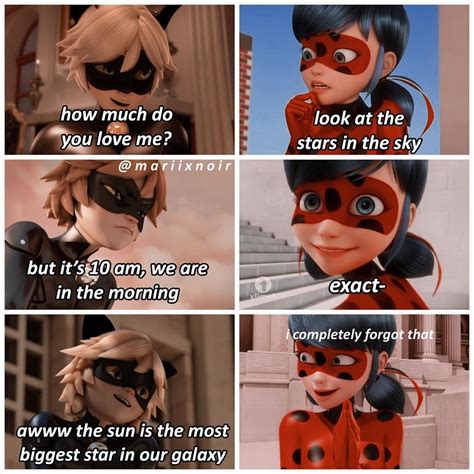 Pin by lovleigh on memes | Miraculous ladybug memes, Miraculous ladybug ...