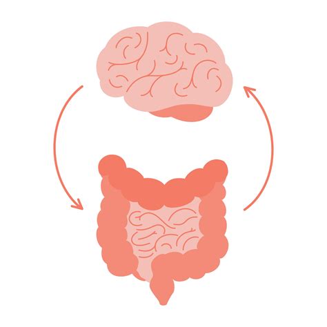 Connection of cute healthy happy brain and intestine gut. Relation ...