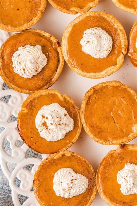 Mini Pumpkin Pies - Homemade Hooplah