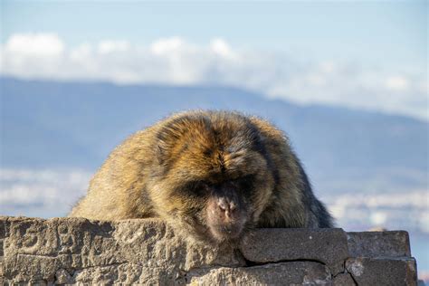 Mom+Big+Boobs Photos, Download The BEST Free Mom+Big+Boobs Stock Photos ...