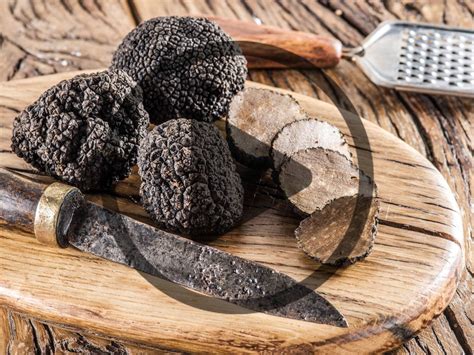 Where to Find Truffles — And Why Are They So Expensive? – Mother Earth News