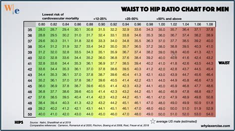 Waist tohip chart – waist to hip ratio tabelle – Akapv