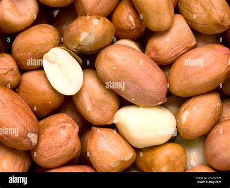nut, peanut, legume, nuts, peanuts, legumes Stock Photo - Alamy