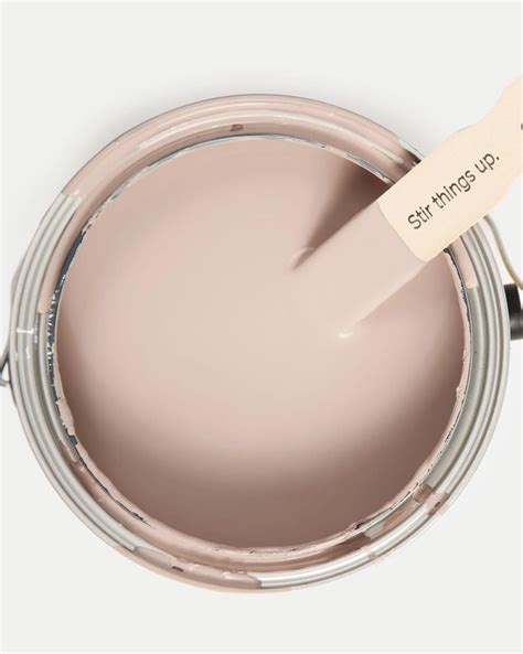 Meet Cute | Pink paint colors, Blush pink paint, Paint colors for home