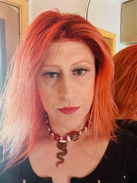 Human Rights Watchdog Investigates Landlords,… | New York Focus