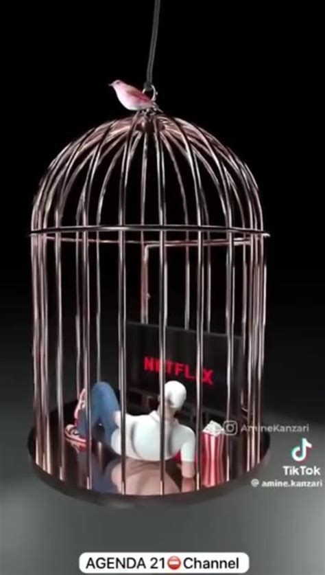 How To Make Sheeple - One News Page VIDEO