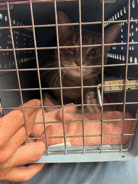 Pequannock Animal Hospital - Pompton Plains, NJ - Nextdoor