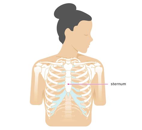 Why Does My Sternum Pop