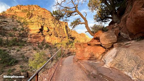 Canyon Overlook Trail (Zion)