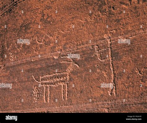 native american petroglyphs carved into cliff wall of buckskin gulch ...