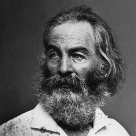 Walt Whitman’s “A Noiseless Patient Spider”: An Analysis – Michael ...