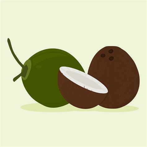 70,000+ Free Coconut Texture & Coconut Images - Pixabay