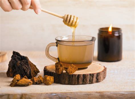 Mushroom Tea: A Natural Boost for Mind and Body | Kitchen Institute