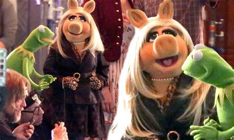 The Muppets Miss Piggy And Kermit