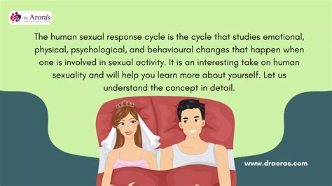 The Phases of Desire Understanding the Human Sexual Response Cycle Presentation.pdf