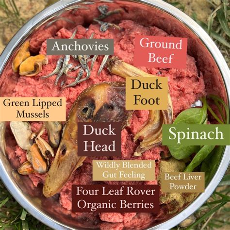 Raw Dog Food Recipes Fish at Robert Keck blog