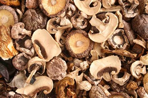 Edible Mushrooms Types & How to Use Them | Sur La Table - Lid & Ladle