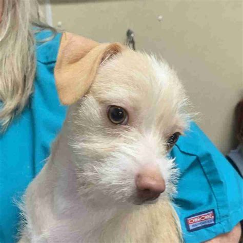 Gary 67142 - Humane Society of Wicomico County