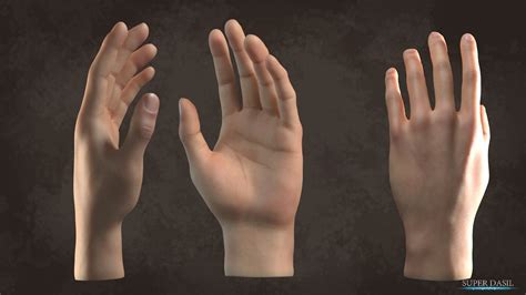 3d Hand Model