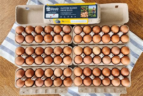Pasture Raised Farm Fresh Eggs - Wanda Farms LLC