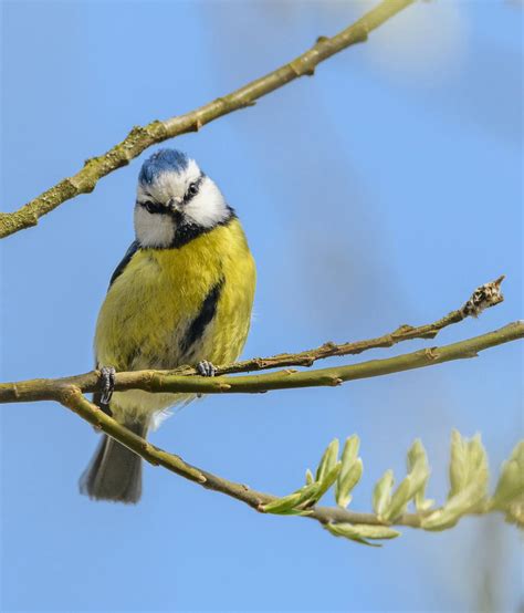 Japanese Small Tit Photos, Download The BEST Free Japanese Small Tit ...