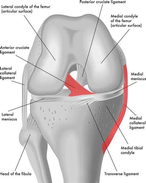 We Never Looked: Treating the Joint vs. Joint+Ligs - Regenexx