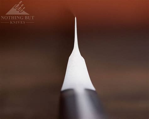 Wusthof Classic Ikon 8 Inch Chef's Knife Review | Nothing But Knives