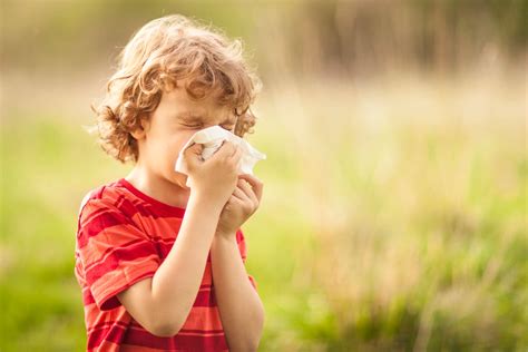 Can allergies cause fever in kids? Plus, other common allergy questions ...