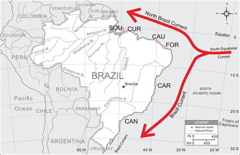 Population connectivity and larval dispersal of the exploited mangrove ...