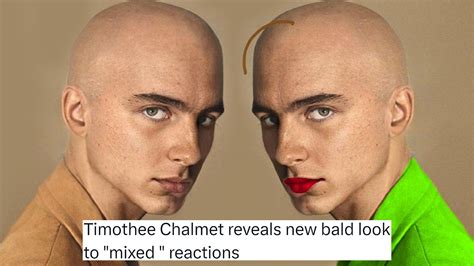 Did Timothée Chalamet Really Go Bald? The Viral Hoax-Turned-Meme ...