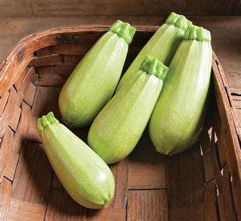 10 Tasty Zucchini Varieties for Your Vegetable Garden - Fine Gardening
